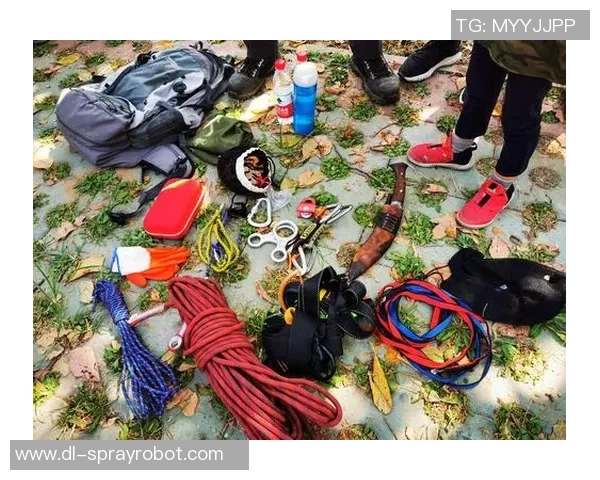 日本与波兰激战正酣比赛直播精彩瞬间全程回顾与分析